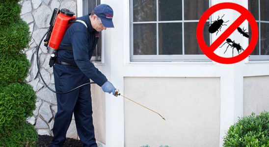 Atakent Kene İlaçlama böcek ilaçlama ve haşere kontrolü — ilaclama-tr.com